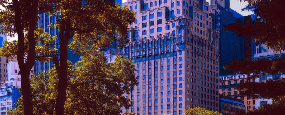 The Ritz Carlton - Central Park